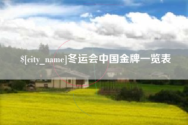 仙桃冬运会中国金牌一览表