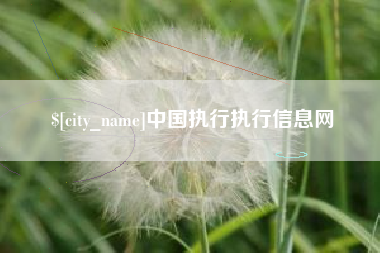 仙桃中国执行执行信息网