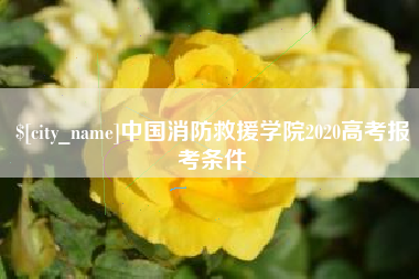 仙桃中国消防救援学院2020高考报考条件