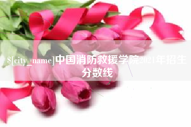 仙桃中国消防救援学院2021年招生分数线