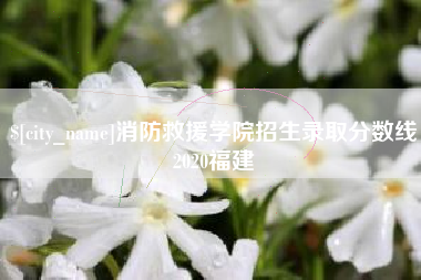 仙桃消防救援学院招生录取分数线2020福建
