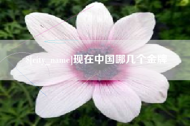 仙桃现在中国哪几个金牌