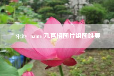 仙桃九宫格图片组图唯美
