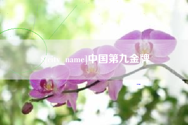 仙桃中国第九金牌