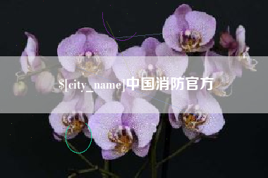 仙桃中国消防官方