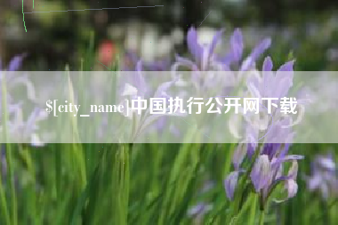 仙桃中国执行公开网下载