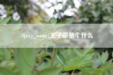 仙桃王子豪是个什么