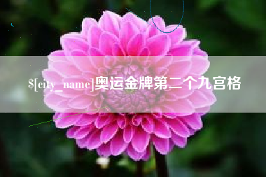 仙桃奥运金牌第二个九宫格