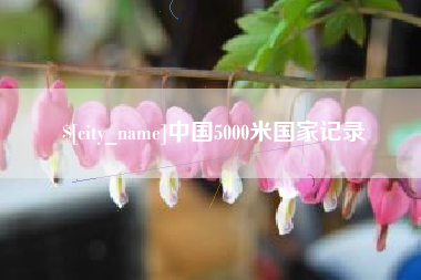 仙桃中国5000米国家记录