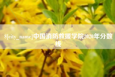 仙桃中国消防救援学院2020年分数线
