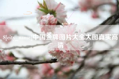 仙桃中国金牌图片大全大图真实高清