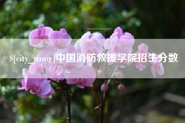 仙桃中国消防救援学院招生分数