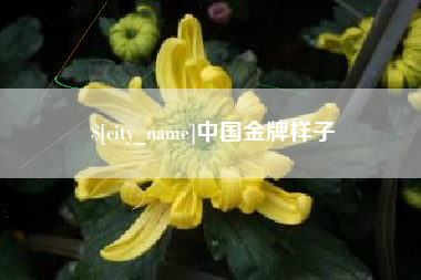 仙桃中国金牌样子