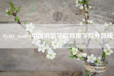 仙桃中国消防学院救援学院分数线