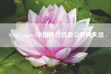 仙桃中国执行信息公开网失信