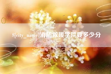 仙桃消防救援学院要多少分