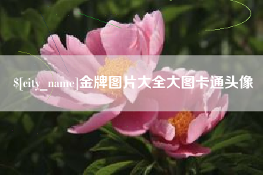 仙桃金牌图片大全大图卡通头像