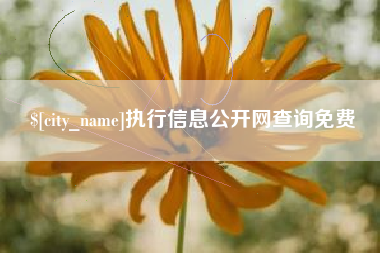 仙桃执行信息公开网查询免费